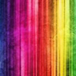 Meet your Posher, Shanelle